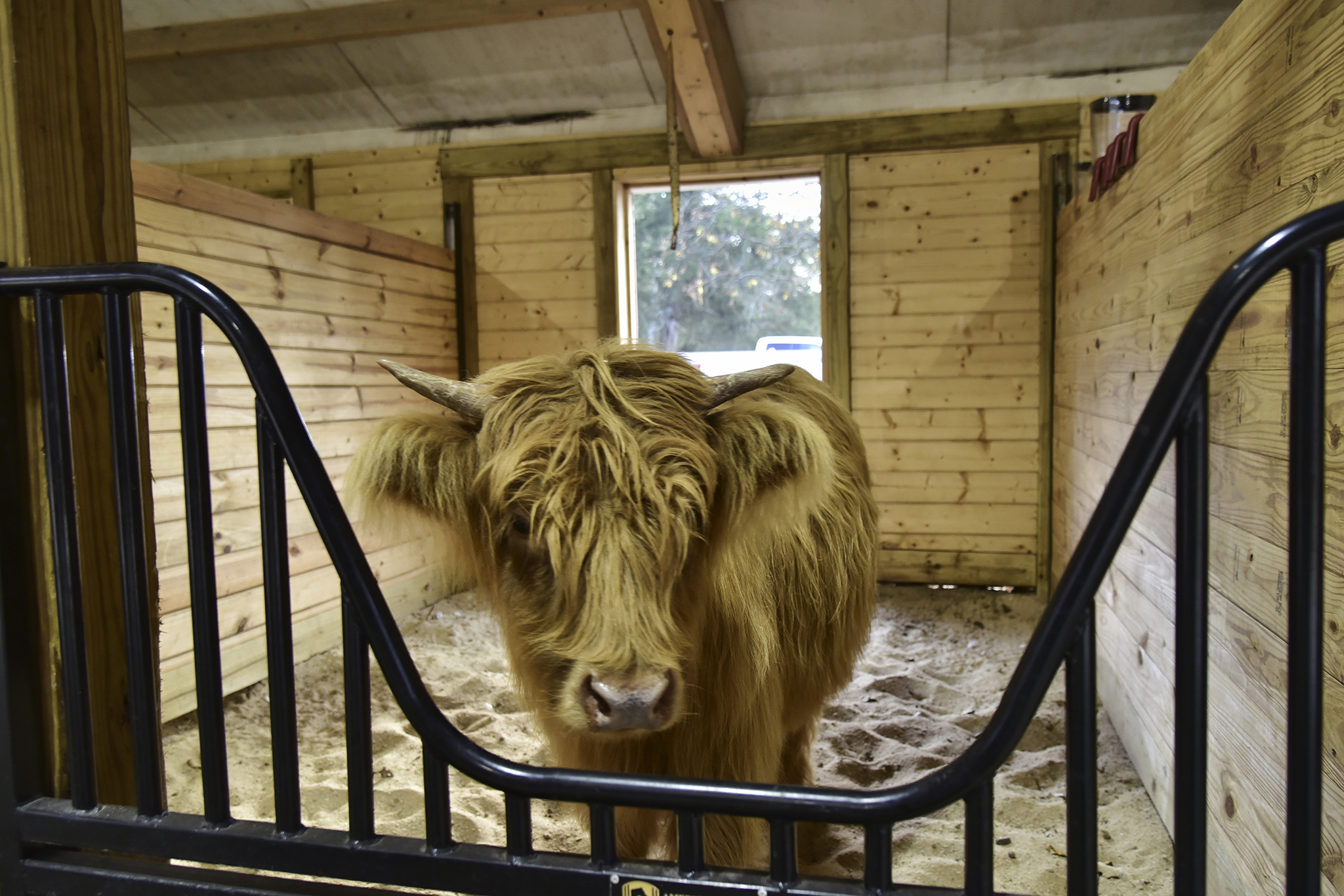 44 Farmhouse WEB 002A